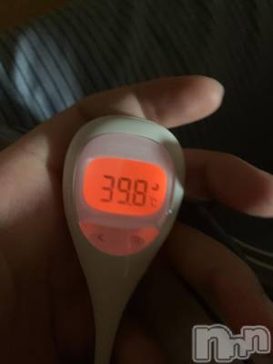 ��Į�ۥ��ȡ��ܡ������С�A151(�����������ݥ���) �������(30)��7��25���̥�֥����֥����ʥ說����2���ܡ�