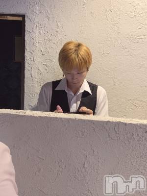 ��Į�ۥ��ȡ��ܡ������С�A151(�����������ݥ���) �������(30)��7��28���̥�֥����ֵס����Τ�ʤ��ͥ��꡼����