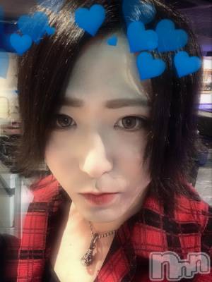 ��Į�ۥ��ȡ��ܡ������С�A151(�����������ݥ���) �������(30)��9��29���̥�֥����֤�����