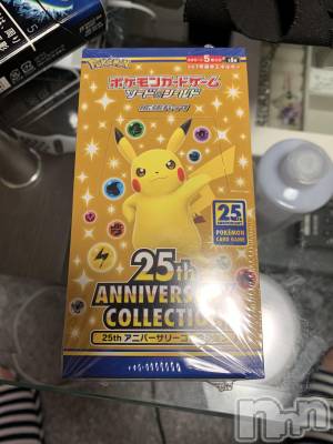 ��Į�ۥ��ȡ��ܡ������С�A151(�����������ݥ���) �������(30)��11��13���̥�֥����������������ʡ�