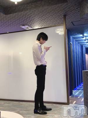 ��Į�ۥ��ȡ��ܡ������С�A151(�����������ݥ���) �������(30)��12��6���̥�֥�������2��