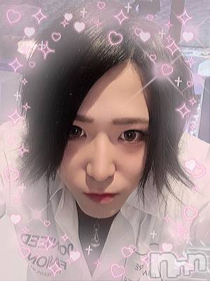 ��Į�ۥ��ȡ��ܡ������С�A151(�����������ݥ���) �������(30)��12��24���̥�֥����֥��ꥹ�ޥ����٥�ȡ�