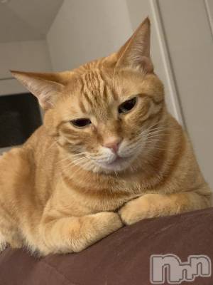 ��Į�ۥ��ȡ��ܡ������С�A151(�����������ݥ���) �������(30)��12��29���̥�֥����֤ȤƤĤ�ʤ���