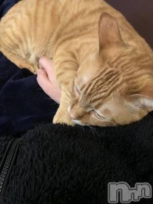 ��Į�ۥ��ȡ��ܡ������С�A151(�����������ݥ���) �������(30)��12��30���̥�֥����֤ޤ�ǭ��