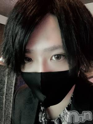 ��Į�ۥ��ȡ��ܡ������С�A151(�����������ݥ���) �������(30)��3��7���̥�֥����֥ޥ�ܥ�������������