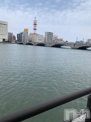 ��Į�ۥ��ȡ��ܡ������С�A151(�����������ݥ���) �������(30)��4��6���̥�֥���������ǡ��ȡ�