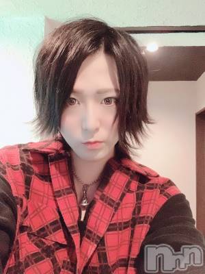 ��Į�ۥ��ȡ��ܡ������С�A151(�����������ݥ���) �������(30)��6��29���̥�֥�������������day��