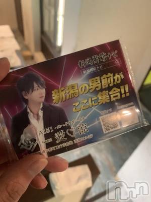 ��Į�ۥ��ȡ��ܡ������С�A151(�����������ݥ���) �������(30)��7��23���̥�֥����ֿ�˴�������