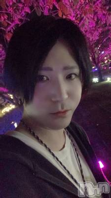 ��Į�ۥ��ȡ��ܡ������С�A151(�����������ݥ���) �������(30)��11��2���̥�֥�����������ͽ���