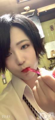 ��Į�ۥ��ȡ��ܡ������С�A151(�����������ݥ���) �������(30)��11��25���̥�֥����ֻ���