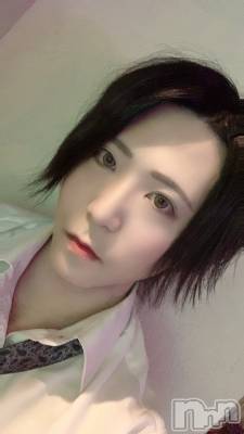 ��Į�ۥ��ȡ��ܡ������С�A151(�����������ݥ���) �������(30)��12��7���̥�֥����֥С����ǡ�(��)��