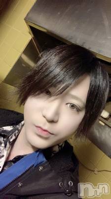 ��Į�ۥ��ȡ��ܡ������С�A151(�����������ݥ���) �������(30)��1��28���̥�֥������㤸��ʤ��á�