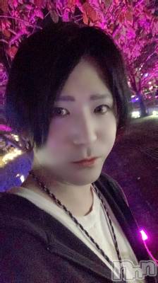 ��Į�ۥ��ȡ��ܡ������С�A151(�����������ݥ���) �������(30)��2��4���̥�֥����ְ������Ȱ���