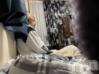 ��Į�ۥ��ȡ��ܡ������С�A151(�����������ݥ���) �������(30)��2��25���̥�֥������𻣥��꡼���Τ��Τ餻��