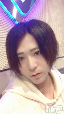 ��Į�ۥ��ȡ��ܡ������С�A151(�����������ݥ���) �������(30)��3��11���̥�֥����֤��θ��