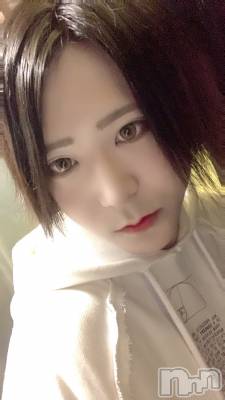 ��Į�ۥ��ȡ��ܡ������С�A151(�����������ݥ���) �������(30)��3��25���̥�֥����֤��θ�Υ֥����⸫�Ƥ͡�