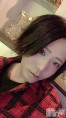 ��Į�ۥ��ȡ��ܡ������С�A151(�����������ݥ���) �������(30)��4��19���̥�֥������̡�