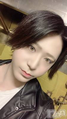 ��Į�ۥ��ȡ��ܡ������С�A151(�����������ݥ���) �������(30)��4��22���̥�֥�����������