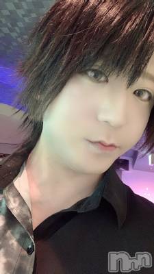 ��Į�ۥ��ȡ��ܡ������С�A151(�����������ݥ���) �������(30)��5��21���̥�֥����֤ԡ�