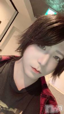 ��Į�ۥ��ȡ��ܡ������С�A151(�����������ݥ���) �������(30)��6��2���̥�֥����֥��٥�Ⱦ����