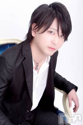 ��Į�ۥ��ȡ��ܡ������С�A151(�����������ݥ���) �������(30)��6��8���̥�֥����֤��