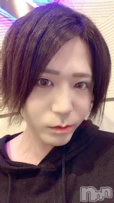 ��Į�ۥ��ȡ��ܡ������С�A151(�����������ݥ���) �������(30)��6��12���̥�֥����ְ��ӡ�