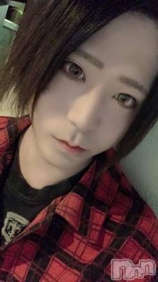 ��Į�ۥ��ȡ��ܡ������С�A151(�����������ݥ���) �������(30)��6��14���̥�֥����ֺ�����