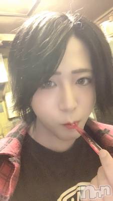 ��Į�ۥ��ȡ��ܡ������С�A151(�����������ݥ���) �������(30)��7��8���̥�֥�����������������