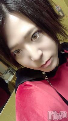 ��Į�ۥ��ȡ��ܡ������С�A151(�����������ݥ���) �������(30)��7��12���̥�֥����֤Ϥ���ޤ��ơ�