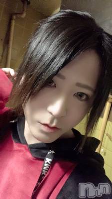 ��Į�ۥ��ȡ��ܡ������С�A151(�����������ݥ���) �������(30)��7��14���̥�֥����֥����ץ󤹤뤫���