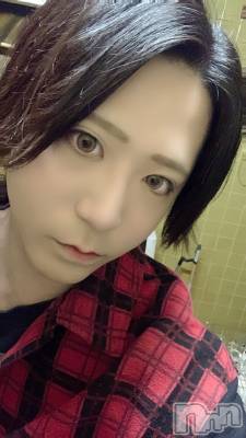 ��Į�ۥ��ȡ��ܡ������С�A151(�����������ݥ���) �������(30)��7��20���̥�֥�����(��)��