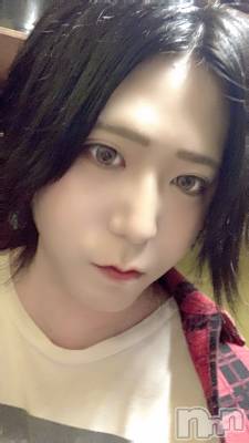 ��Į�ۥ��ȡ��ܡ������С�A151(�����������ݥ���) �������(30)��7��31���̥�֥����ֺǸ��