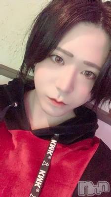 ��Į�ۥ��ȡ��ܡ������С�A151(�����������ݥ���) �������(30)��8��12���̥�֥����ֺǸ��