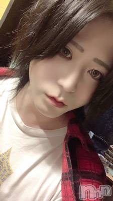 ��Į�ۥ��ȡ��ܡ������С�A151(�����������ݥ���) �������(30)��8��16���̥�֥����֥ͥ����