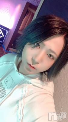 ��Į�ۥ��ȡ��ܡ������С�A151(�����������ݥ���) �������(30)��8��30���̥�֥�����2��