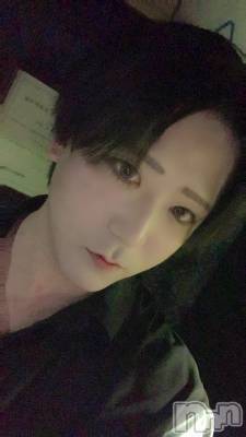 ��Į�ۥ��ȡ��ܡ������С�A151(�����������ݥ���) �������(30)��9��14���̥�֥�����2kg��