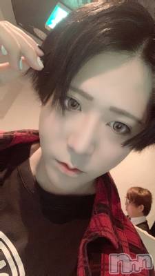 ��Į�ۥ��ȡ��ܡ������С�A151(�����������ݥ���) �������(30)��9��16���̥�֥������轵��A151��