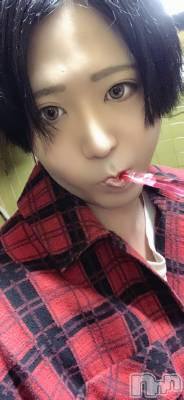 ��Į�ۥ��ȡ��ܡ������С�A151(�����������ݥ���) �������(30)��10��19���̥�֥����֤��褦��