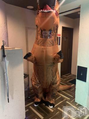 ��Į�ۥ��ȡ��ܡ������С�A151(�����������ݥ���) �������(30)��10��30���̥�֥�������1�ơ���