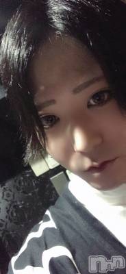 ��Į�ۥ��ȡ��ܡ������С�A151(�����������ݥ���) �������(30)��11��8���̥�֥����ָ���