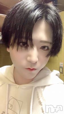 ��Į�ۥ��ȡ��ܡ������С�A151(�����������ݥ���) �������(30)��11��19���̥�֥����������