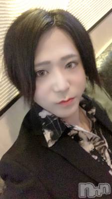 ��Į�ۥ��ȡ��ܡ������С�A151(�����������ݥ���) �������(30)��12��29���̥�֥����֤���ʤ����