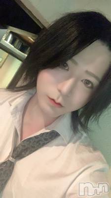 ��Į�ۥ��ȡ��ܡ������С�A151(�����������ݥ���) �������(30)��3��2���̥�֥����֤���