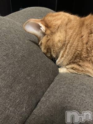 ��Į�ۥ��ȡ��ܡ������С�A151(�����������ݥ���) �������(30)��3��27���̥�֥����֤����ʤ�����