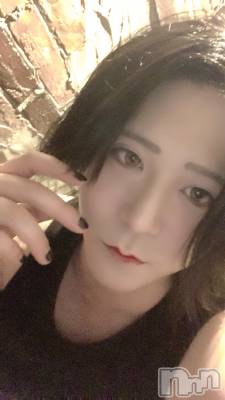 ��Į�ۥ��ȡ��ܡ������С�A151(�����������ݥ���) �������(30)��5��10���̥�֥����֤������Τ��ȡ�