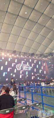 ��Į�ۥ��ȡ��ܡ������С�A151(�����������ݥ���) �������(30)��8��11���̥�֥����ֽ�CDF��