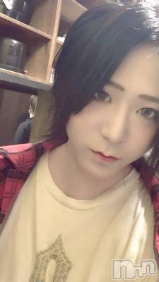 ��Į�ۥ��ȡ��ܡ������С�A151(�����������ݥ���) �������(30)��8��22���̥�֥����ֳ�����