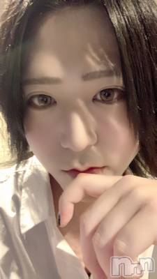 ��Į�ۥ��ȡ��ܡ������С�A151(�����������ݥ���) �������(30)��10��5���̥�֥�����SAMUE��