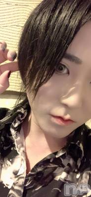 ��Į�ۥ��ȡ��ܡ������С�A151(�����������ݥ���) �������(30)��10��16���̥�֥����֤䤹�䤹�����