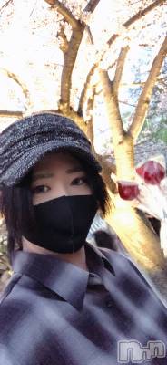 ��Į�ۥ��ȡ��ܡ������С�A151(�����������ݥ���) �������(30)��12��28���̥�֥����֤������ա�